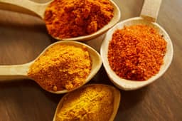 Discover the Magic of Indian Spices at DAL ROTTI: Frankfurt's Newest Indian Restaurant